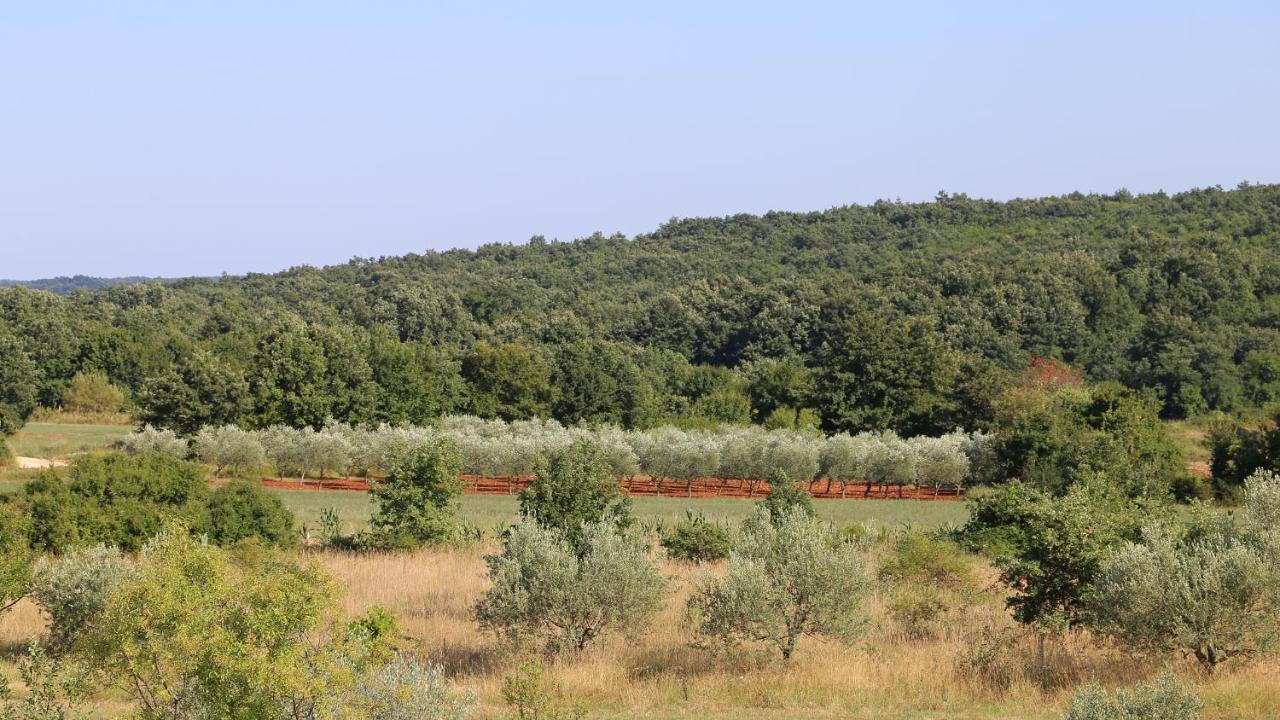 Casa Conte Istria Villa Kanfanar Eksteriør billede