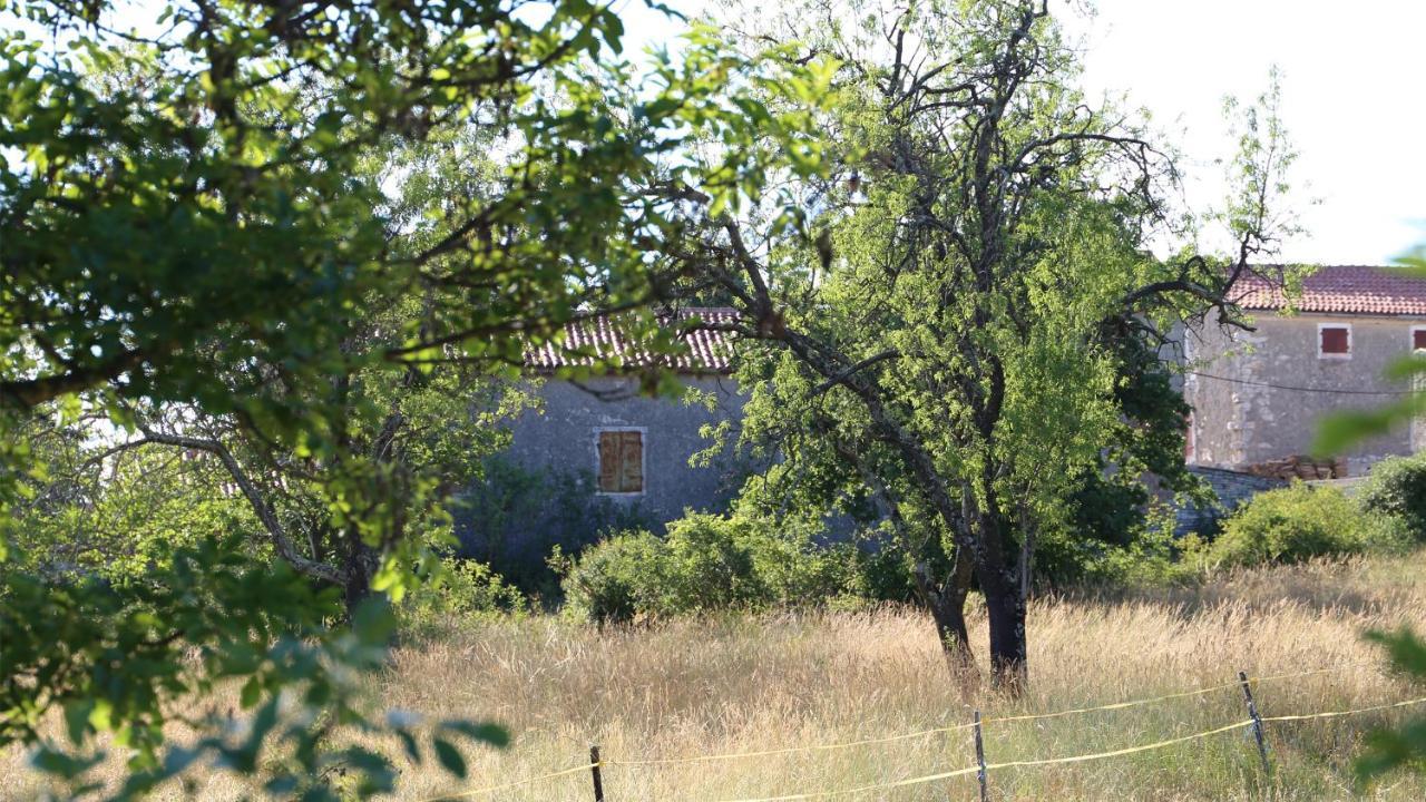 Casa Conte Istria Villa Kanfanar Eksteriør billede