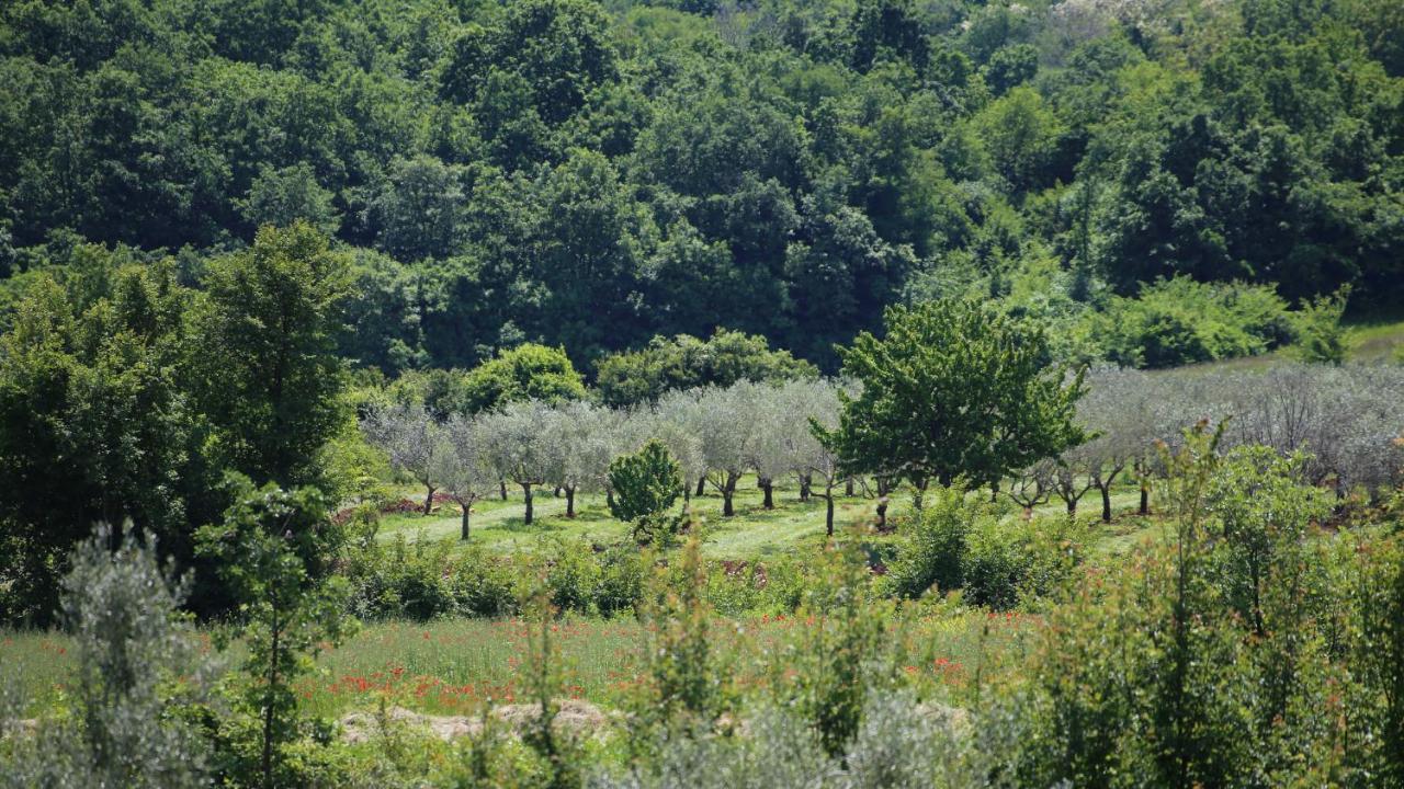 Casa Conte Istria Villa Kanfanar Eksteriør billede